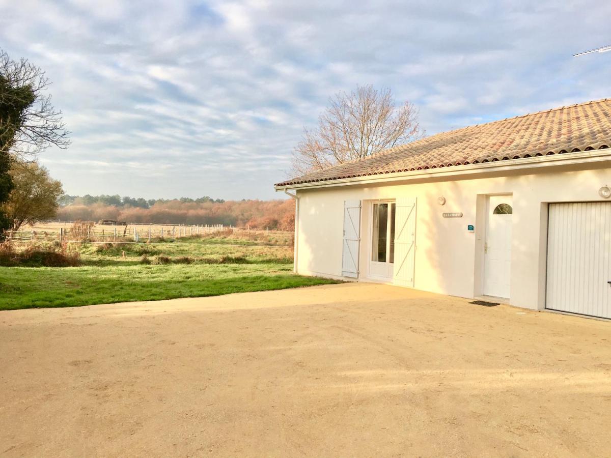 La Villa Landaise Sainte-Eulalie-en-Born Экстерьер фото